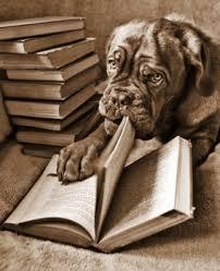 Dog Reading